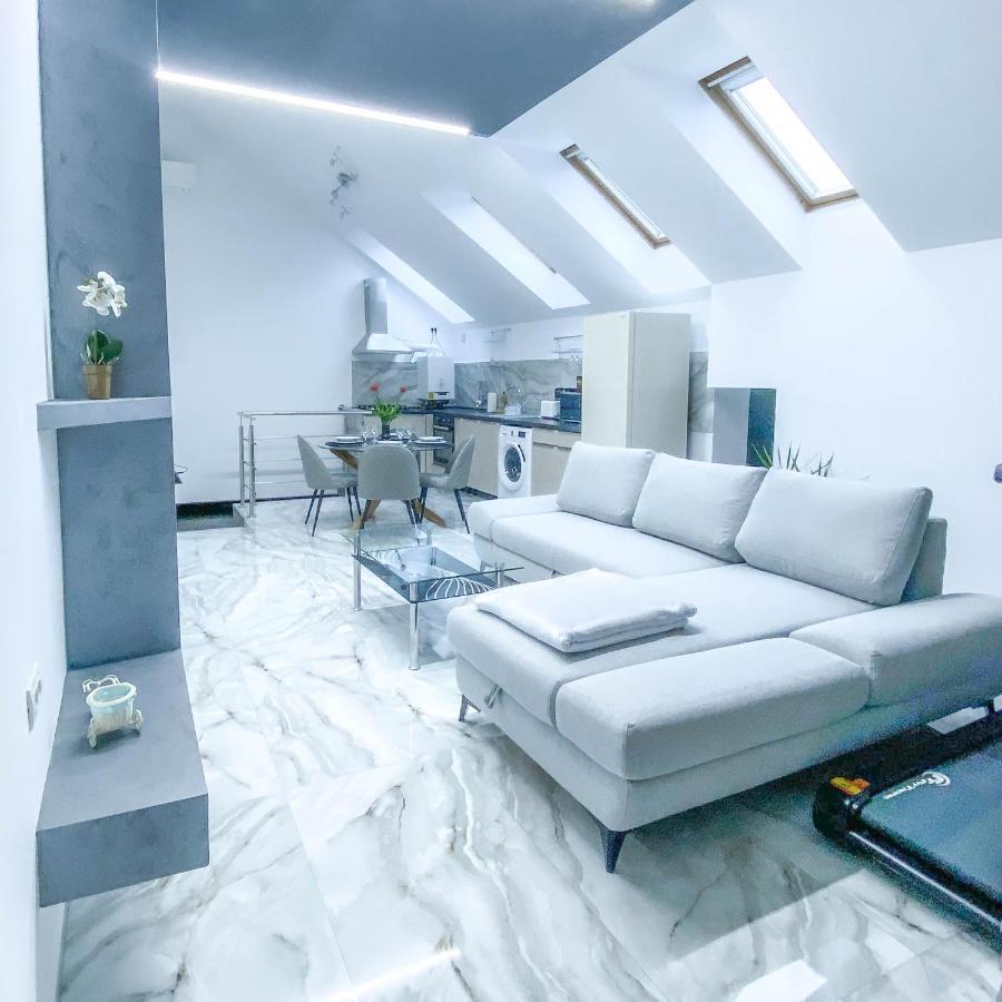 The Residence Of Silver Sky House Timisoara Bagian luar foto