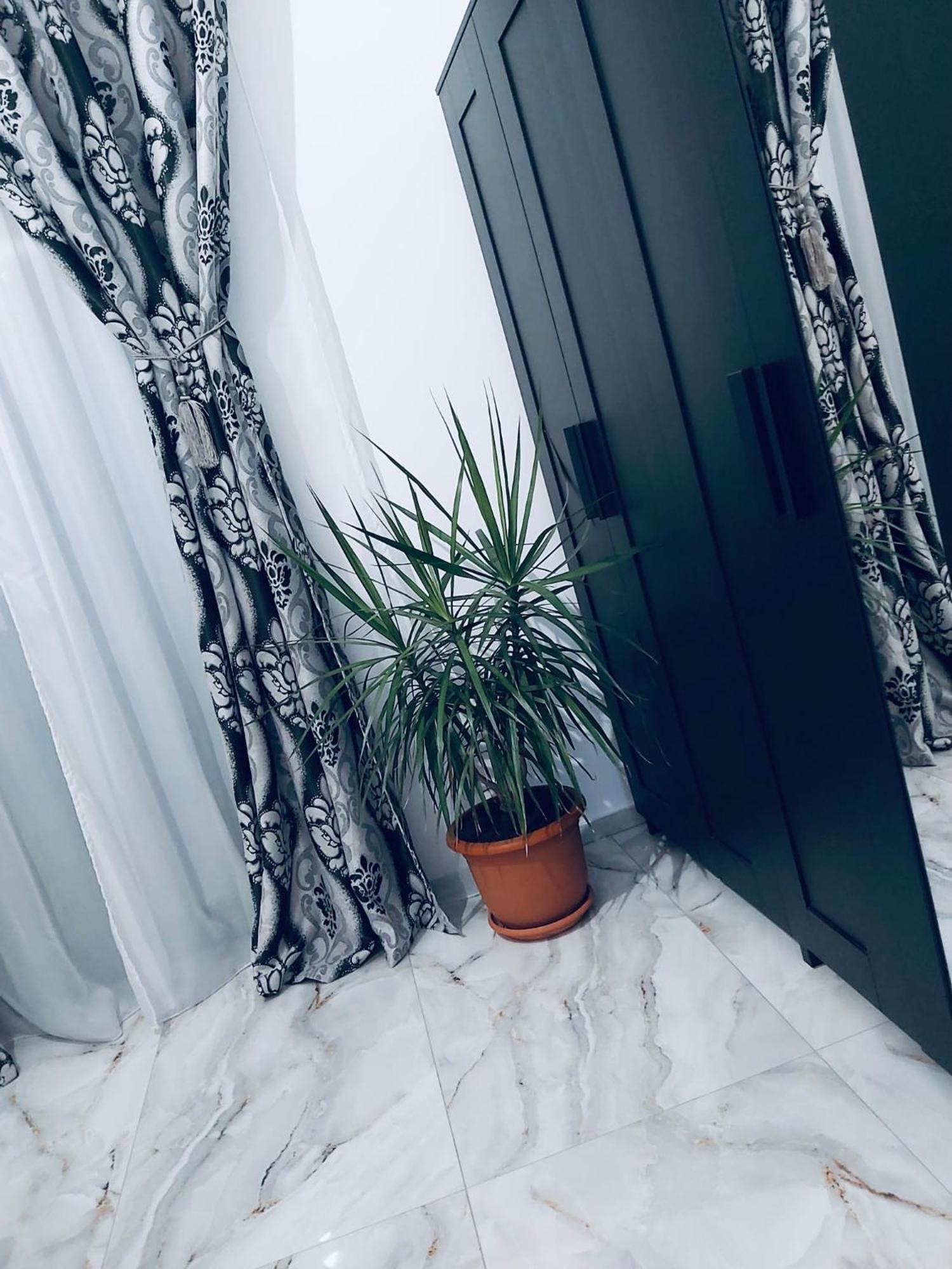 The Residence Of Silver Sky House Timisoara Bagian luar foto